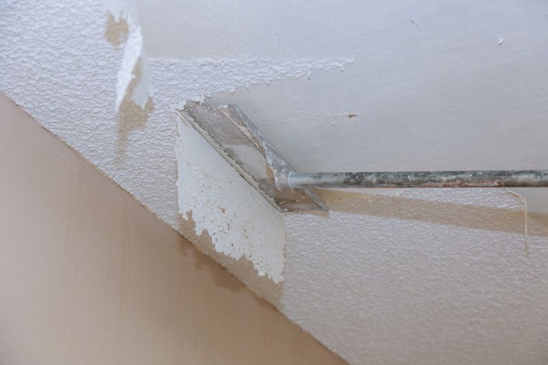 Popcorn Ceiling Removal - Popcorn Ceiling Removal Lakeville, Minnesota